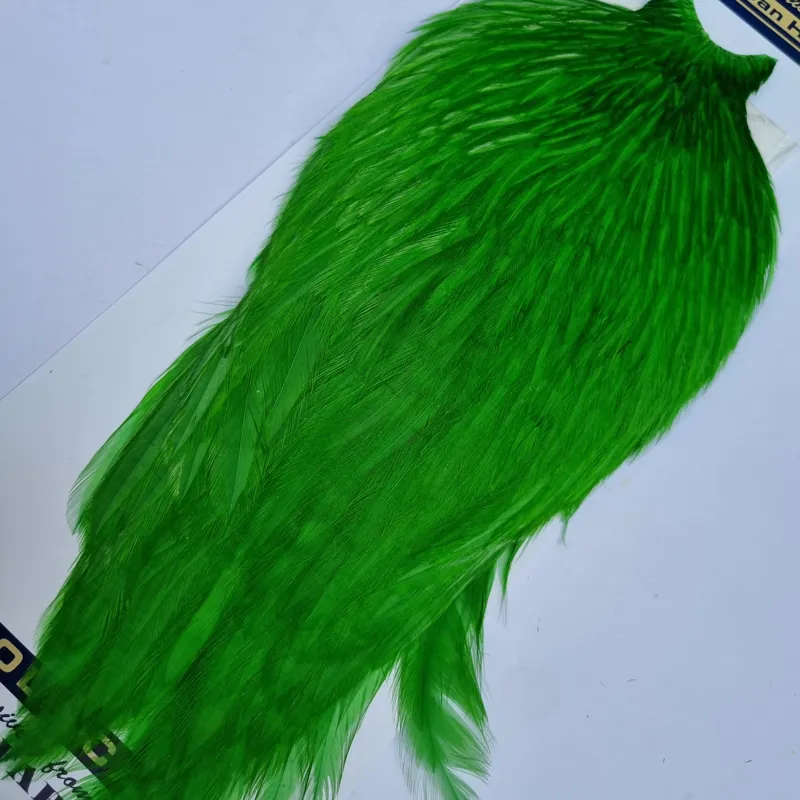Whiting American Rooster Cape in  Highlander Green